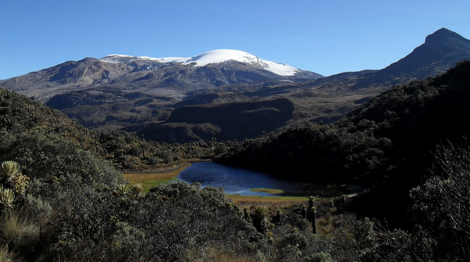 Parque Nacional Natural Los Nevados - Parques Nacionales Naturales de Colombia