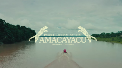 La miniserie documental “Americanino Explora” llega al Parque Nacional Natural Amacayacu en el corazón de la Amazonía colombiana