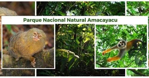 El Parque Nacional Natural Amacayacu en el Amazonas abre gradualmente a visitantes.