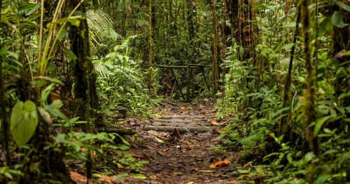 Inicia la operación ecoturística en el Santuario de Fauna y Flora Otún Quimbaya