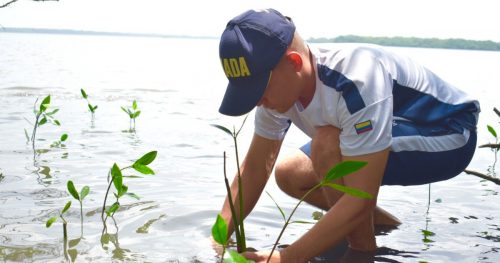 Preservamos el ecosistema del manglar de Mallorquín (Armada Nacional)