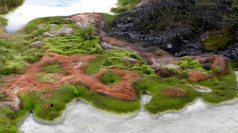 Parque Nacional Natural Puracé - Parques Nacionales Naturales de Colombia