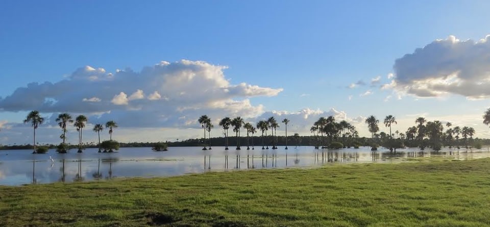Convocatoria: Cesión de bienes muebles – PNN Orinoquia