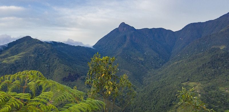 Farallones-de-Cali