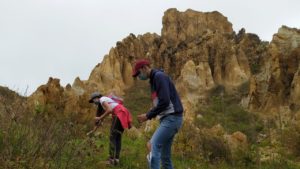 Parque Nacional Natural Puracé - Parques Nacionales Naturales de Colombia