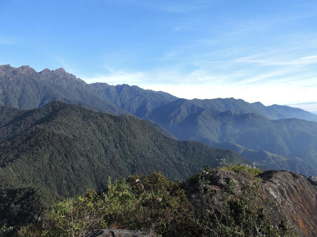 Exitoso Rescate del Guardaparque Andrés Muñoz en el Parque Nacional Natural Farallones de Cali Exitoso Rescate del Guardaparque Andrés Muñoz en el Parque Nacional Natural Farallones de Cali