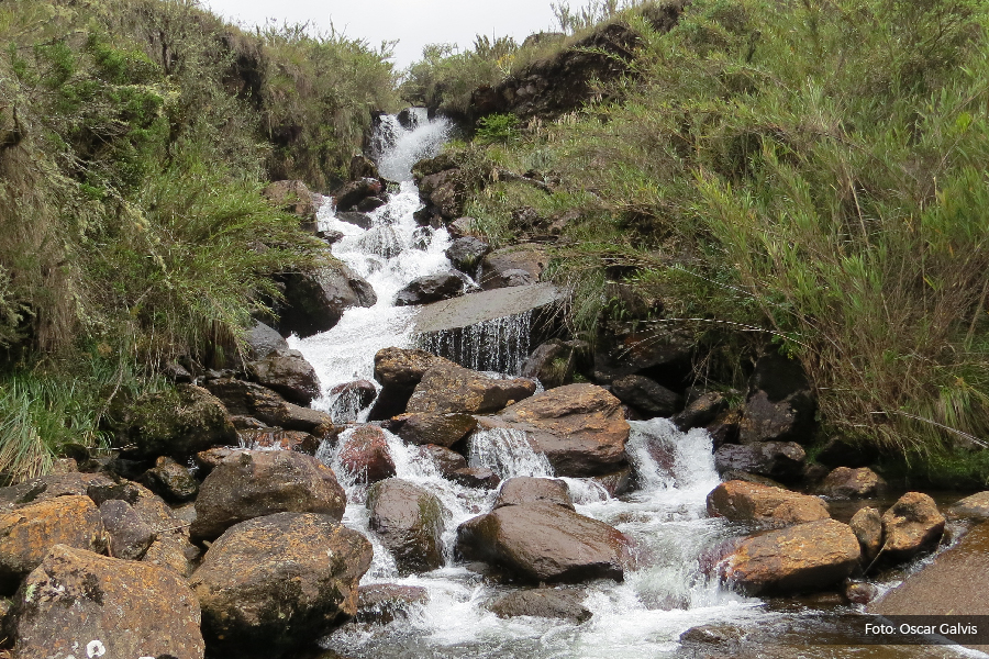 Dia mundial del agua Dia mundial del agua