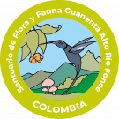 sff-guanenta sff-guanenta