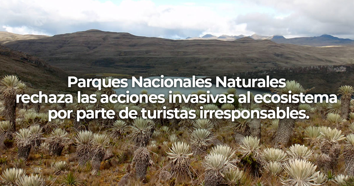 Parques Nacionales Naturales rechaza las acciones invasivas al ecosistema por parte de turistas irresponsables. Parques Nacionales Naturales rechaza las acciones invasivas al ecosistema por parte de turistas irresponsables.