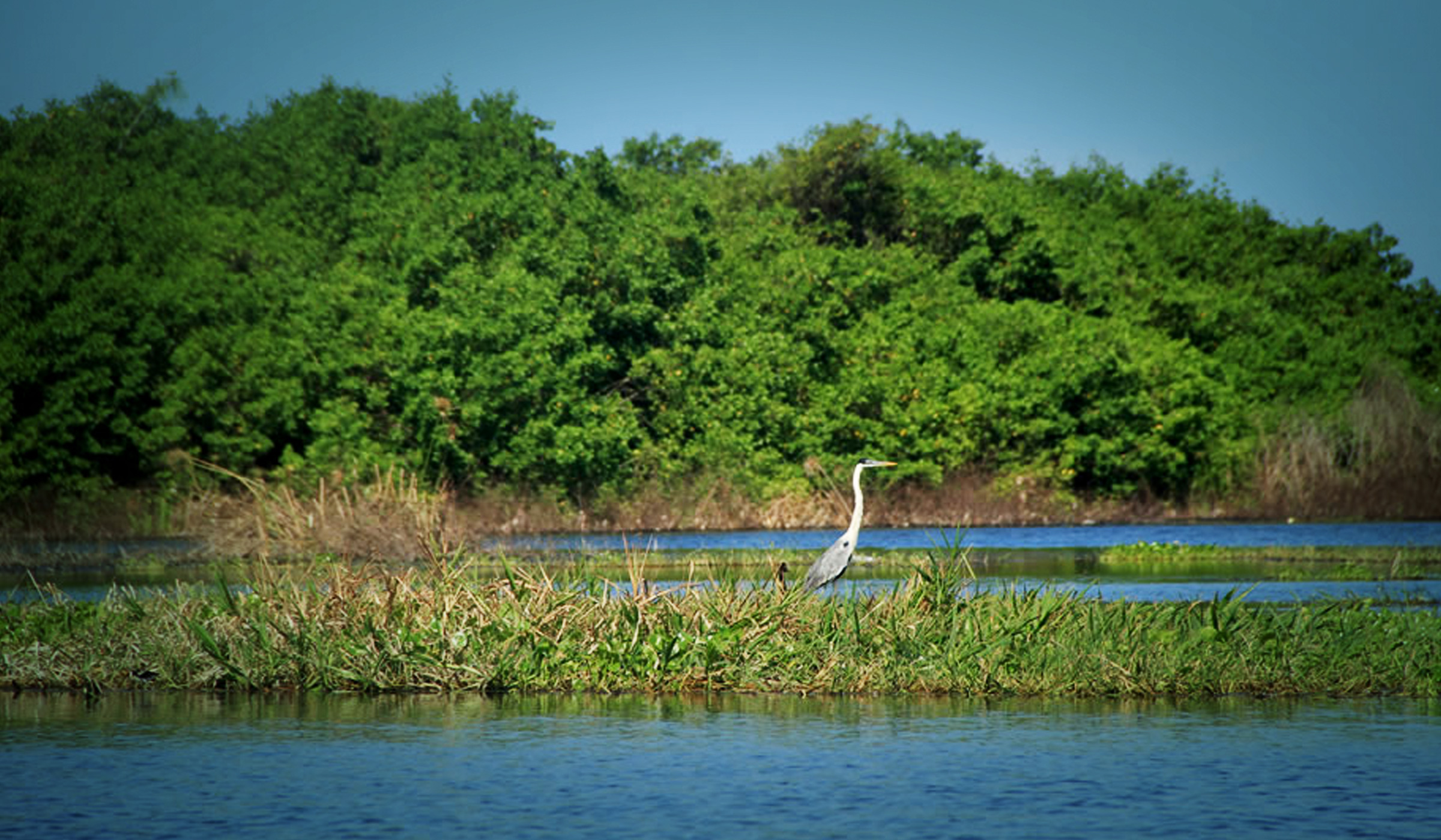 Comunicado – Publicación de admisión de acción de tutela