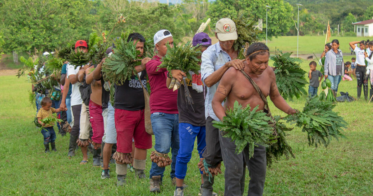 PNN La Paya presentó documental “Baile de Yuak – Fortalecimiento Cultural alrededor del Intercambio de Semillas” en conjunto con el Resguardo Indígena Lagarto Cocha PNN La Paya presentó documental “Baile de Yuak – Fortalecimiento Cultural alrededor del Intercambio de Semillas” en conjunto con el Resguardo Indígena Lagarto Cocha