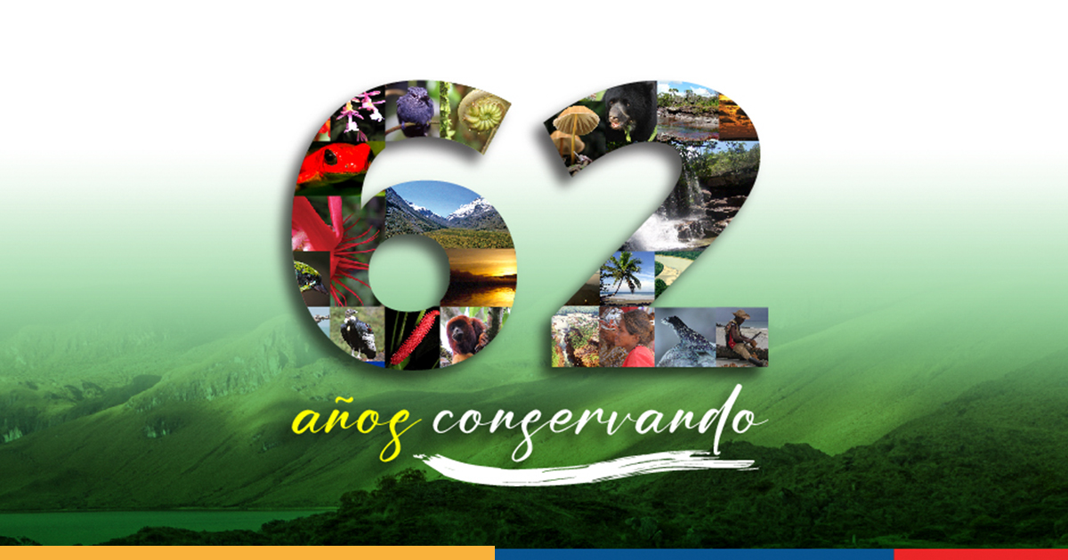 Parques Nacionales Naturales de Colombia cumple 62 años de conservación de nuestro patrimonio natural y cultural. Parques Nacionales Naturales de Colombia cumple 62 años de conservación de nuestro patrimonio natural y cultural.
