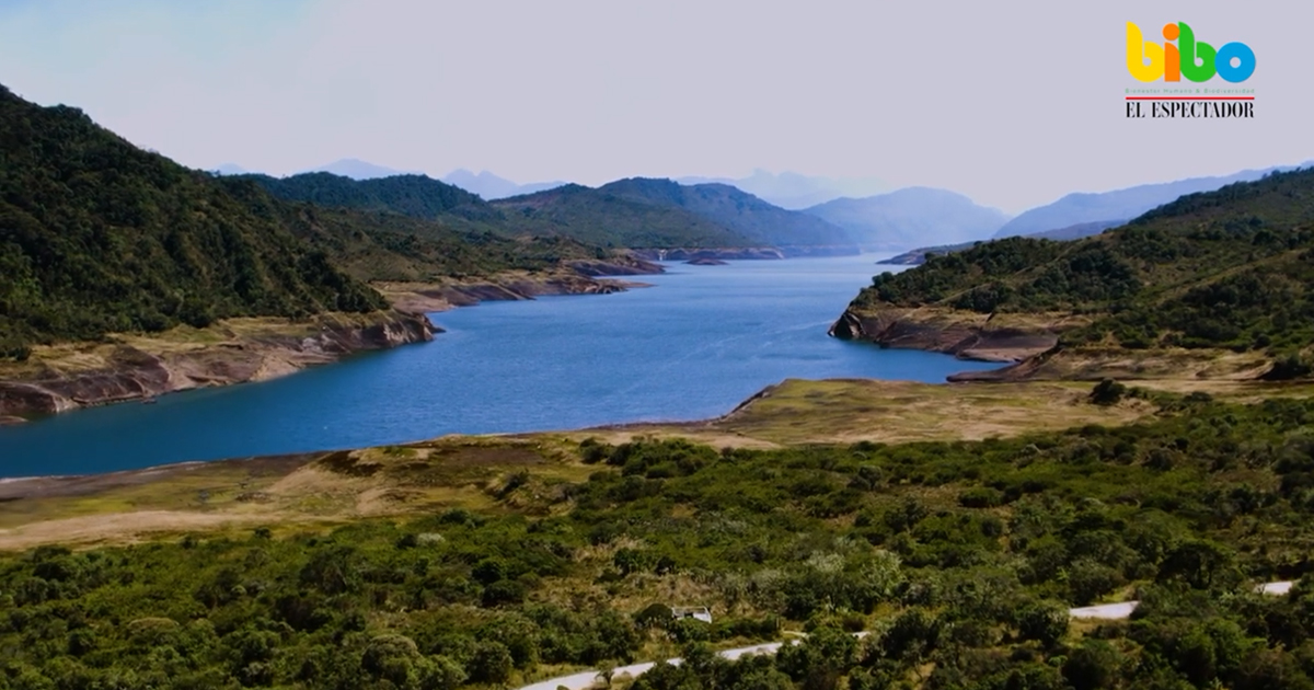 ¿Por qué es necesario proteger los Parques Nacionales Naturales?