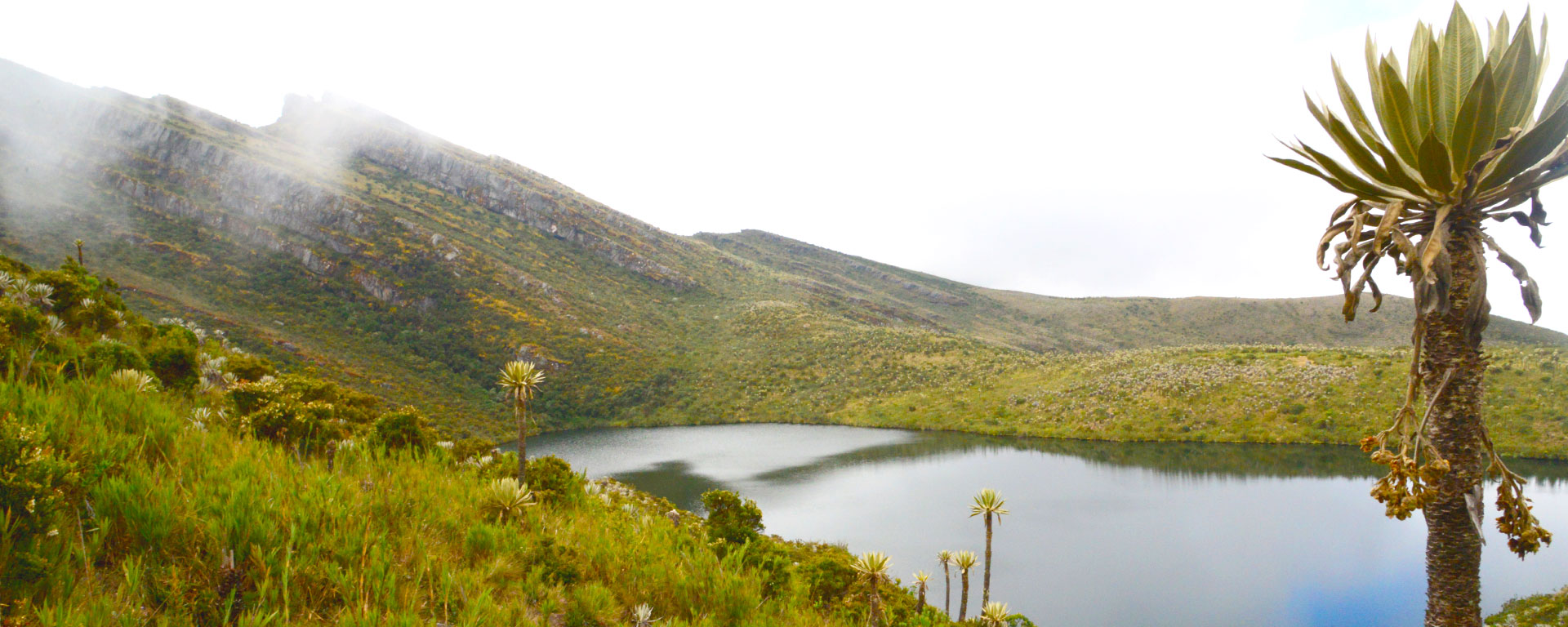 Parque Nacional Natural Chingaza - Parques Nacionales Naturales de Colombia