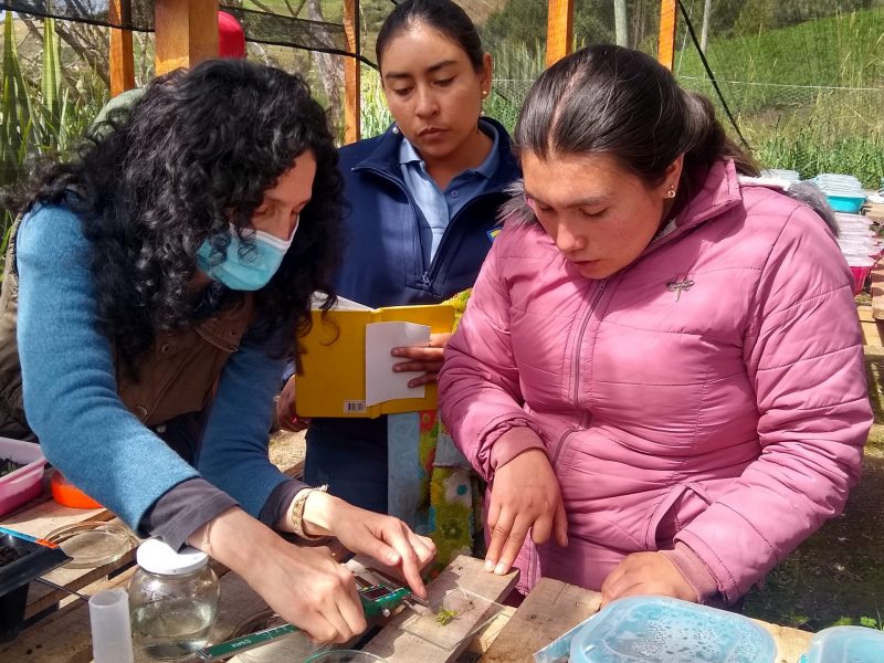 IMG_20220521_142108607_HDR - EDUCACIÓN AMBIENTAL SUMAPAZ