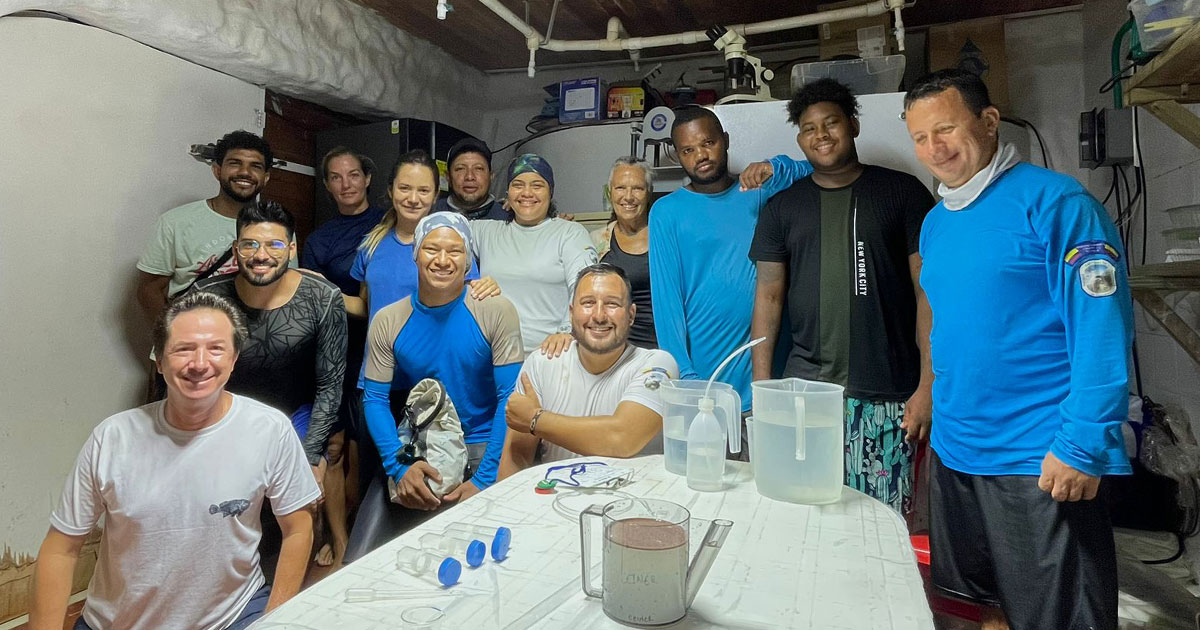 Avanza restauración coralina en el Caribe colombiano Avanza restauración coralina en el Caribe colombiano