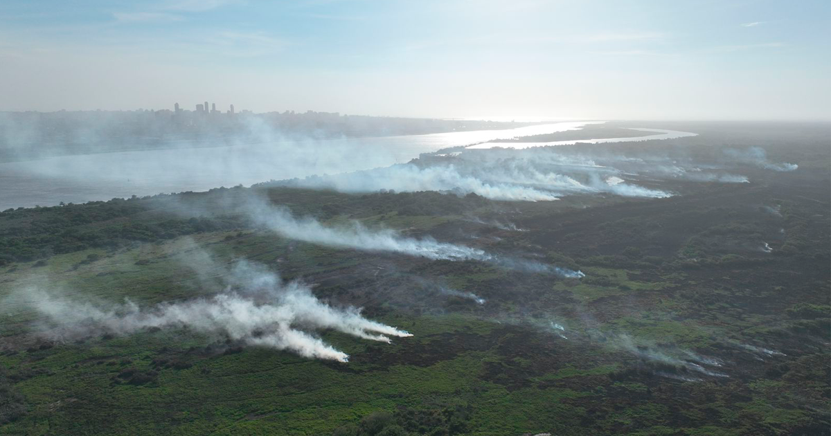 Reporte de incendio forestal en el Vía Parque Isla de Salamanca Reporte de incendio forestal en el Vía Parque Isla de Salamanca