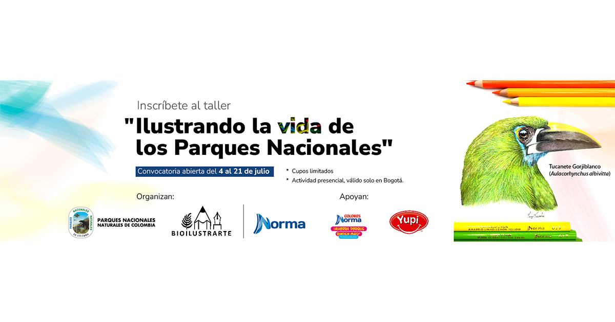 Ilustrando la vida de los parques, un taller para acercarse a la naturaleza Ilustrando la vida de los parques, un taller para acercarse a la naturaleza