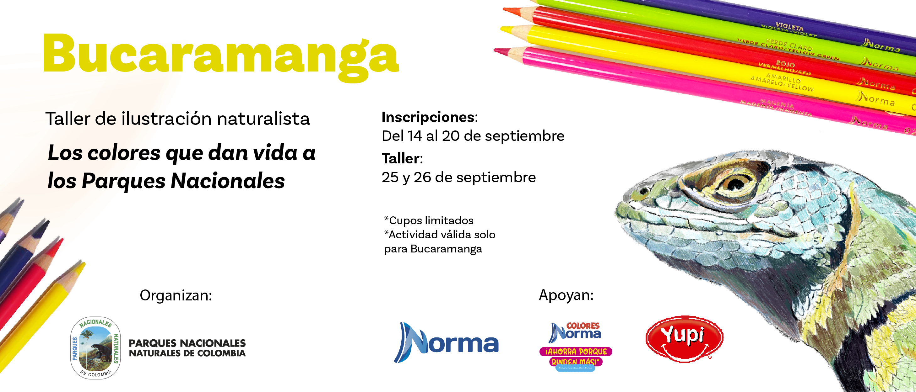 “Los colores que dan vida a los Parques Nacionales”, el taller de ilustración naturalista llega a Bucaramanga “Los colores que dan vida a los Parques Nacionales”, el taller de ilustración naturalista llega a Bucaramanga