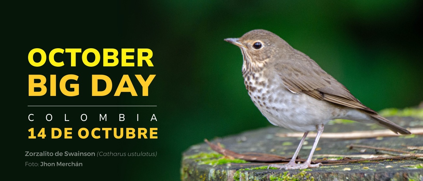 Parques Nacionales Naturales se prepara para participar en el October Big Day 2023, participa tú también Parques Nacionales Naturales se prepara para participar en el October Big Day 2023, participa tú también