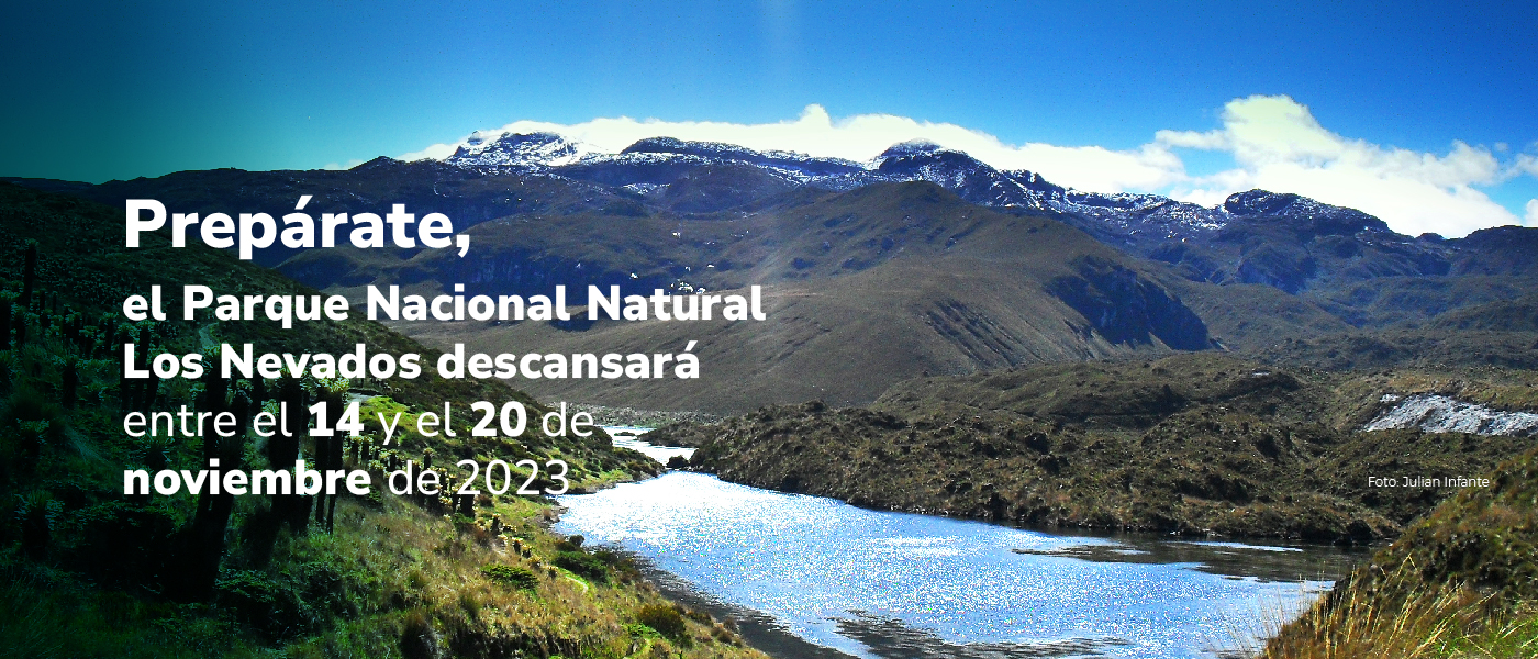 El Parque Nacional Natural Los Nevados se tomará un descanso entre 14 y 20 de noviembre de 2023 El Parque Nacional Natural Los Nevados se tomará un descanso entre 14 y 20 de noviembre de 2023