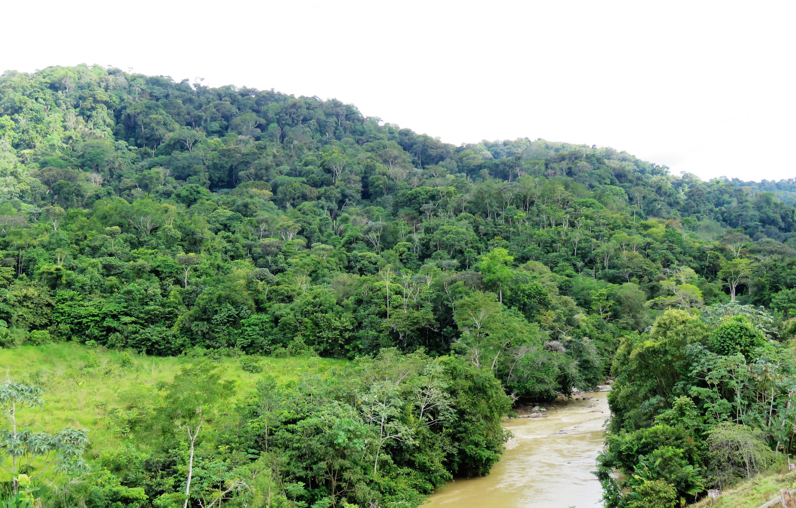 Ordenar el territorio para la vida: el proceso de la Serranía de San Lucas Ordenar el territorio para la vida: el proceso de la Serranía de San Lucas