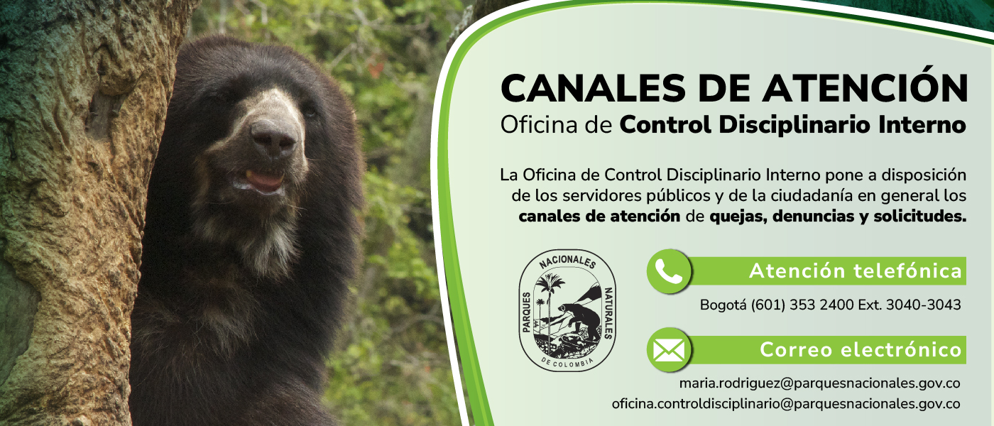 Canales de Atención