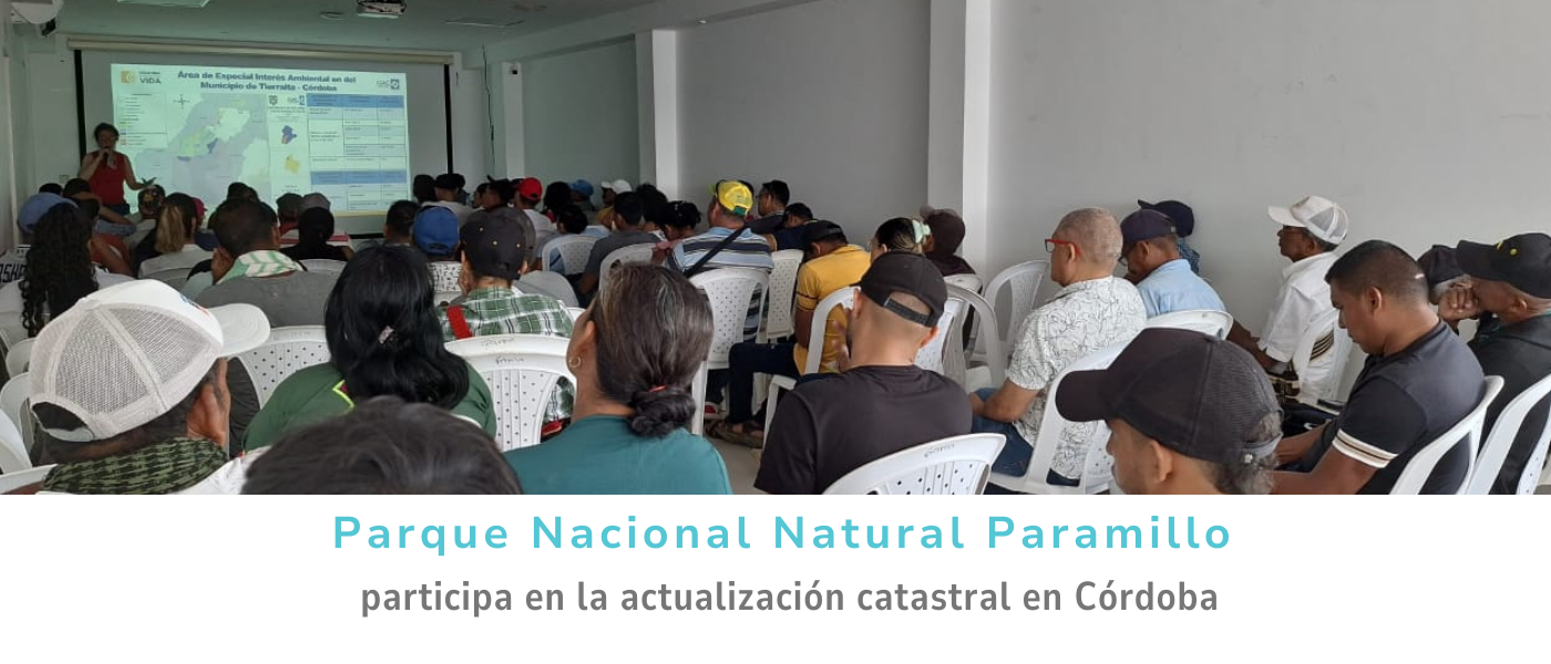 El Parque Nacional Natural Paramillo participa en la actualización catastral en Córdoba