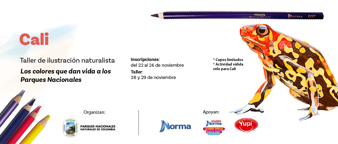 Cali se prepara para recibir el taller de ilustración naturalista “Los colores que dan vida a los Parques Nacionales” Cali se prepara para recibir el taller de ilustración naturalista “Los colores que dan vida a los Parques Nacionales”