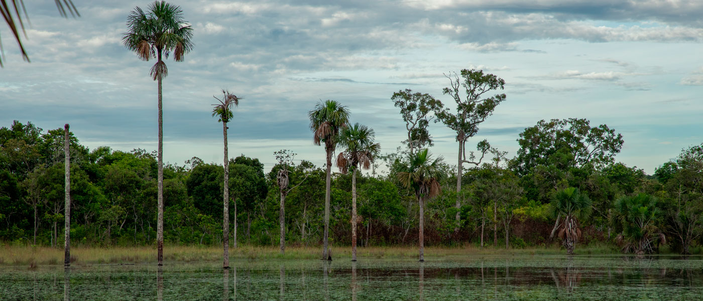 Serranía de Manacacías, nueva área protegida del Sistema de Parques Nacionales Naturales de Colombia