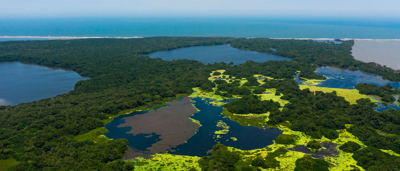 Parque Nacionales Naturales de Colombia rechaza el hurto área protegida Vía Parque Isla de Salamanca