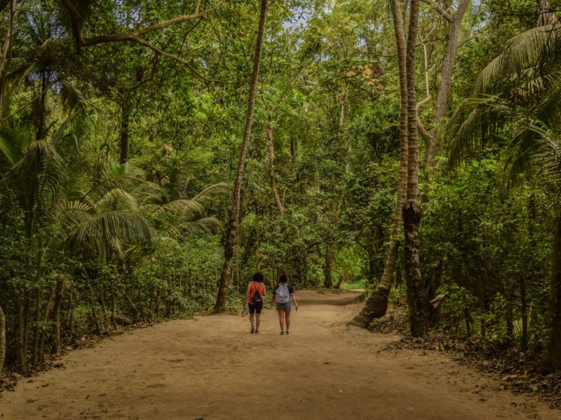 Tayrona se alista para el Primer cierre temporal del año