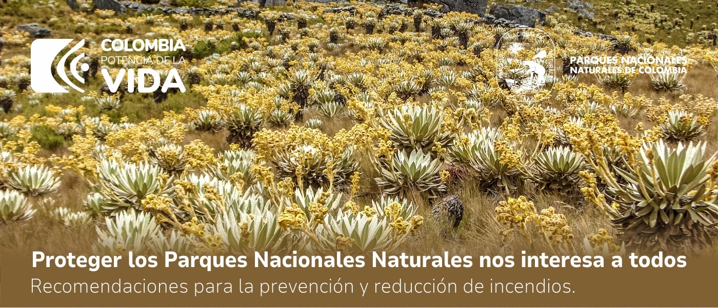 Parques Nacionales Naturales de Colombia (PPNC) invita a trabajar de manera conjunta para prevenir incendios forestales y los daños y pérdidas que estos causan a las áreas protegidas