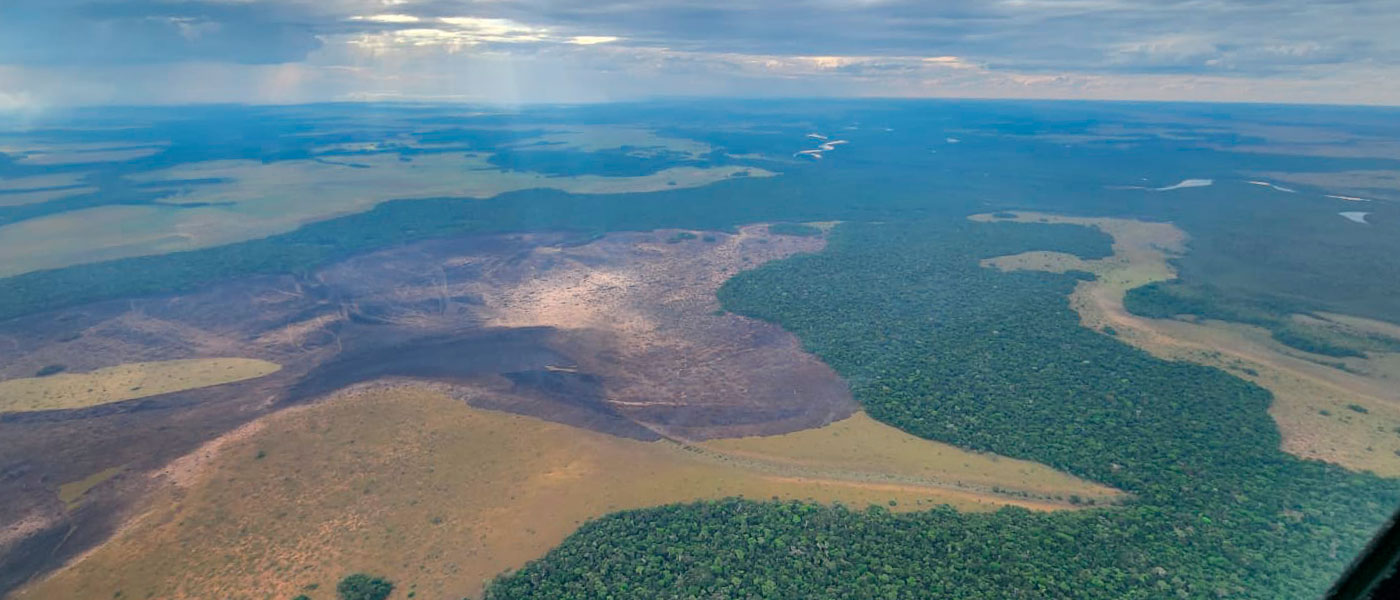 Estado de los incendios forestales en el Parque Nacional Natural El Tuparro Estado de los incendios forestales en el Parque Nacional Natural El Tuparro