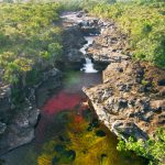 Cano cristales Macarena - Martin Cicuamia