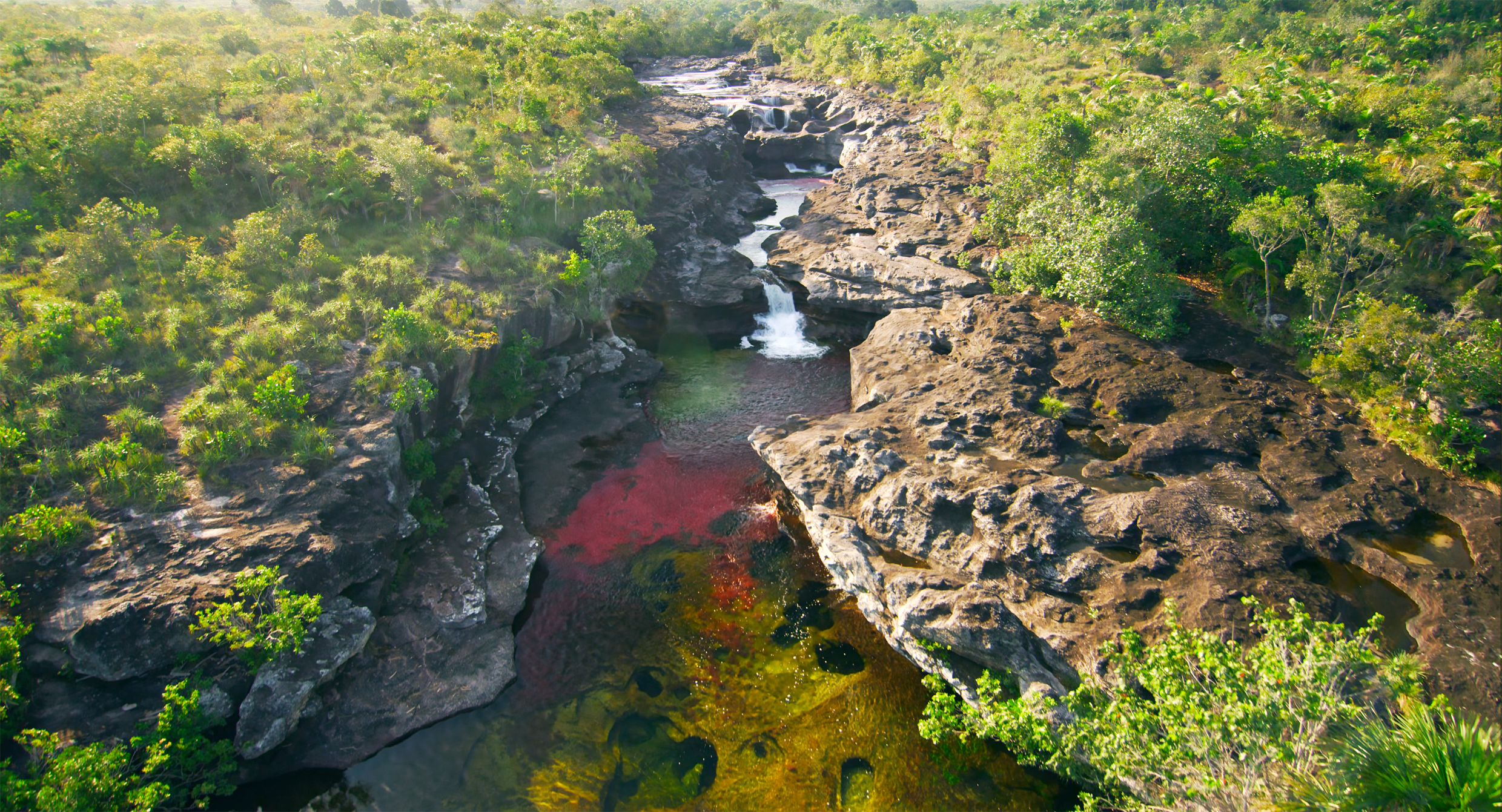 Cano cristales Macarena - Martin Cicuamia