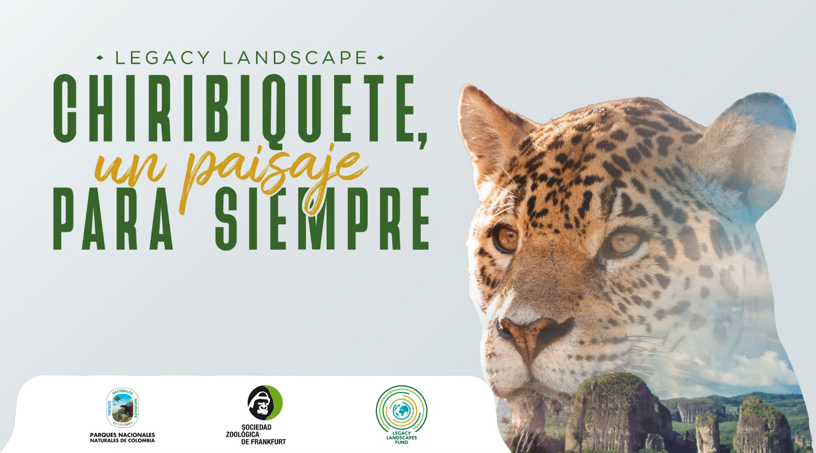 Colombia obtiene financiación a largo plazo para el Parque Nacional Natural Serranía de Chiribiquete