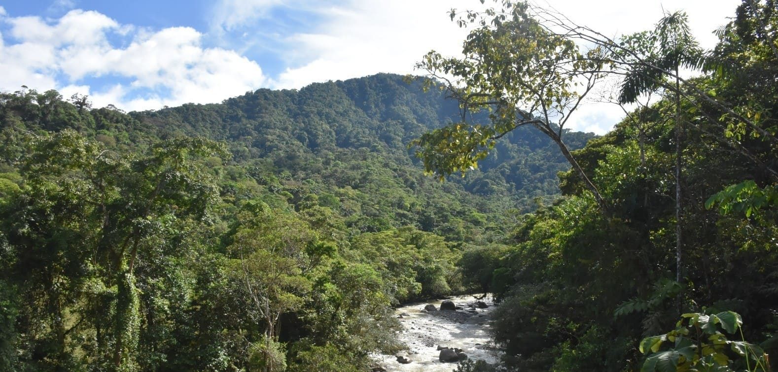 Dos áreas protegidas de Colombia avanzan para ser incluidas en la Lista Verde de Áreas Protegidas y Conservadas de la UICN Dos áreas protegidas de Colombia avanzan para ser incluidas en la Lista Verde de Áreas Protegidas y Conservadas de la UICN