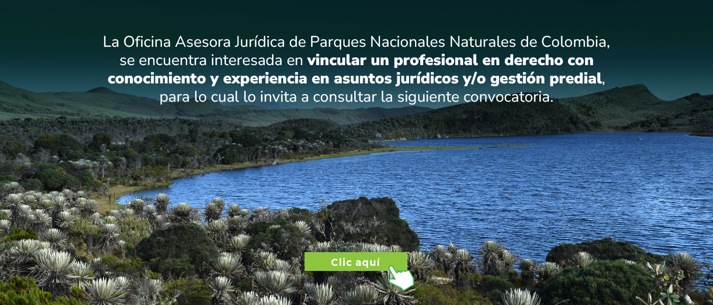 Convocatoria abogado penalista
