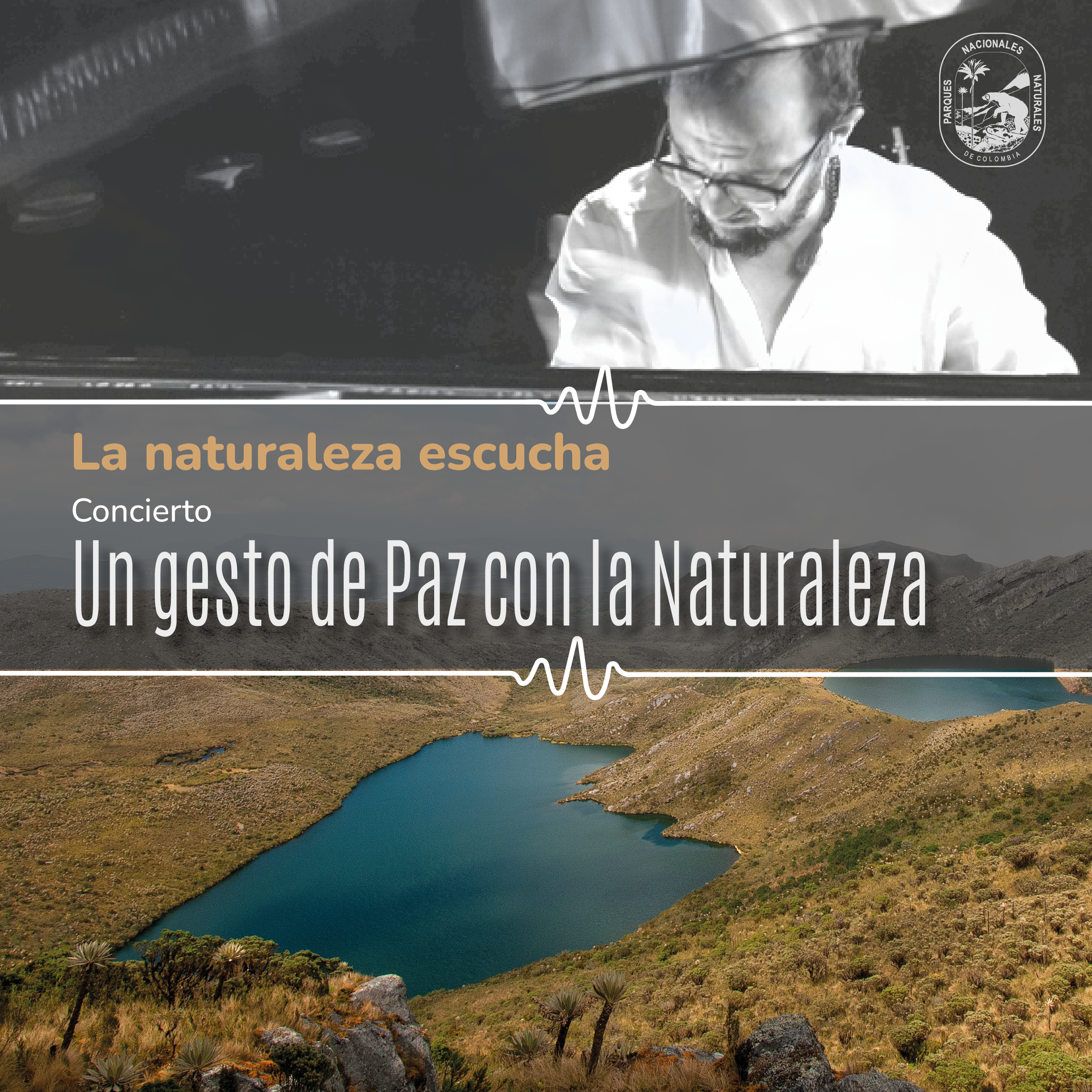 Música para la vida y la naturaleza: hoy es el concierto «Un gesto de paz con la Naturaleza» en el Parque Nacional Natural Chingaza. Música para la vida y la naturaleza: hoy es el concierto «Un gesto de paz con la Naturaleza» en el Parque Nacional Natural Chingaza.