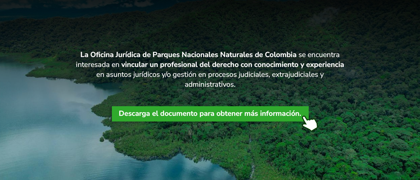 Convocatoria abogado administrativo Convocatoria abogado administrativo