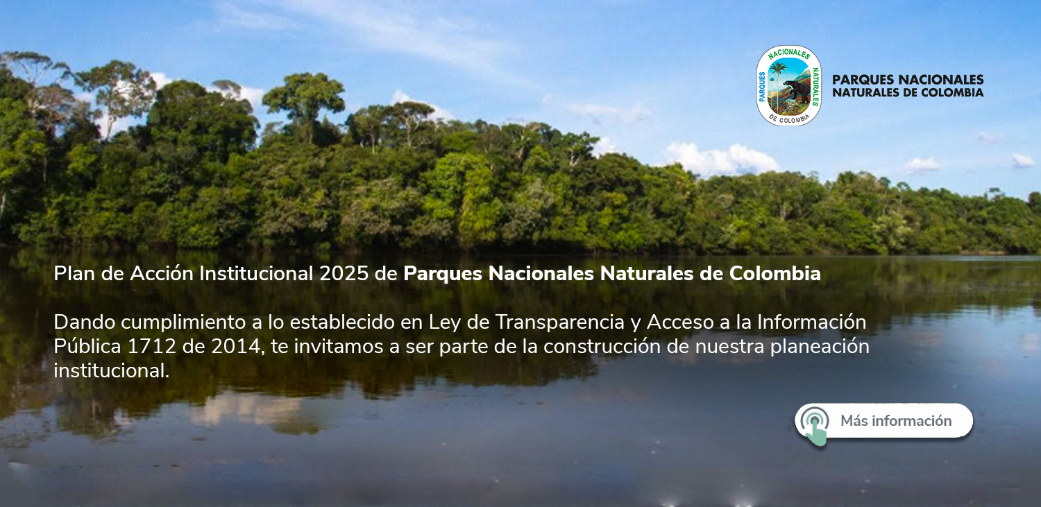 Plan de Acción Institucional 2025 de Parques Nacionales Naturales de Colombia Plan de Acción Institucional 2025 de Parques Nacionales Naturales de Colombia