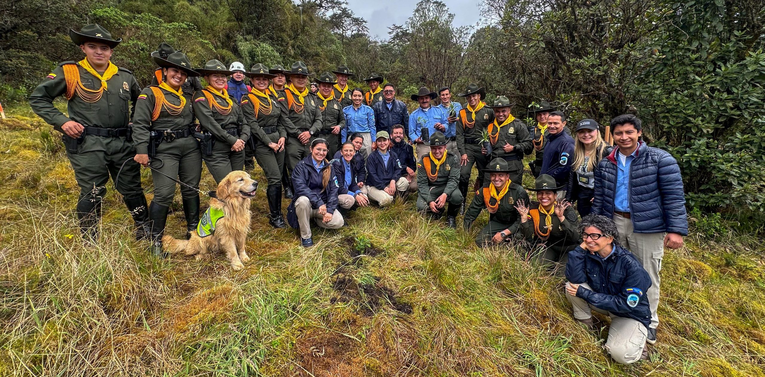 Sembramos vida y esperanza en los Parques Nacionales Naturales Chingaza y Farallones de Cali: una jornada por la restauración y la paz con la naturaleza