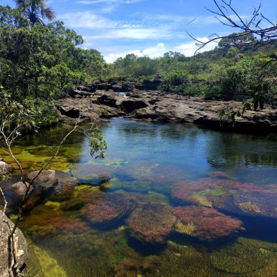 La Sierra de la Macarena une las montañas de los Andes, las sabanas de la
Orinoquia y la selva del Amazonas para formar un corredor que permite el flujo genético entre estas
regiones, crucial para conservar la biodiversidad.
El 1 de septiembre de 1989 fue declarado este parque, que se encuentra en 6 municipios del
departamento del Meta.