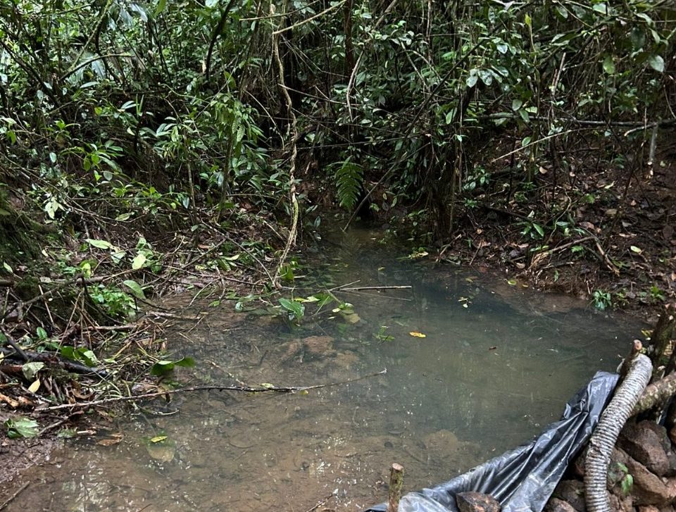 Parques Nacionales Naturales reafirma su compromiso con la protección de la biodiversidad en el Parque Nacional Natural Farallones de Cali Parques Nacionales Naturales reafirma su compromiso con la protección de la biodiversidad en el Parque Nacional Natural Farallones de Cali