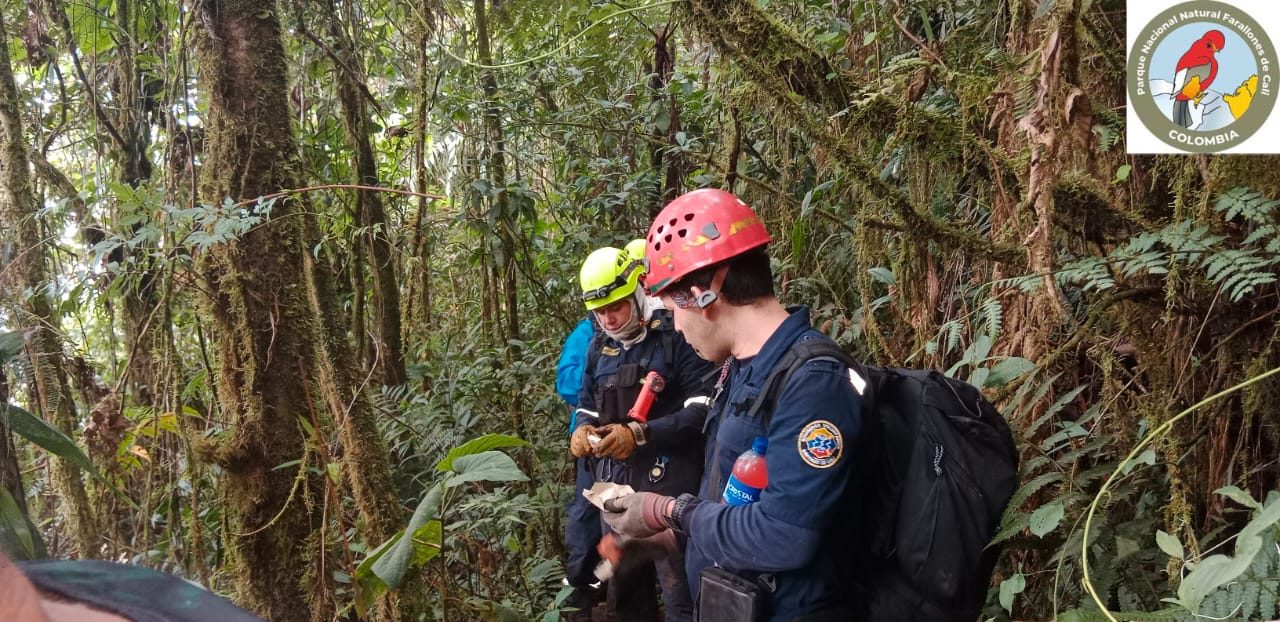 Exitoso rescate de cinco excursionistas en el Pico Pance, un sector restringido al ecoturismo