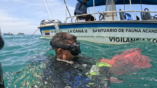 Acciones locales impactos globales Comunidades de Acandí celebraron el Día Mundial de los Océanos