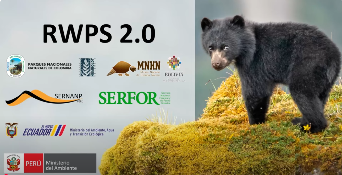 Avances en la actualización de la distribución del oso andino en el marco del proyecto RWPS 2.0