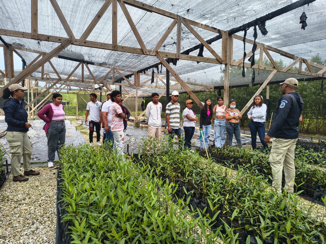 Jóvenes y adultos de Tasajera fortalecen sus capacidades para interpretar el patrimonio cultural y natural en la Vía Parque Isla de Salamanca Jóvenes y adultos de Tasajera fortalecen sus capacidades para interpretar el patrimonio cultural y natural en la Vía Parque Isla de Salamanca