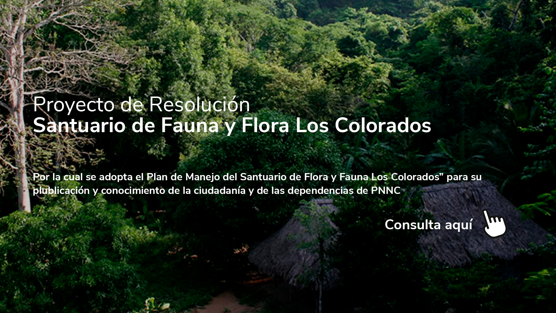 Plan de Manejo del Santuario de Flora y Fauna Los Colorados Plan de Manejo del Santuario de Flora y Fauna Los Colorados